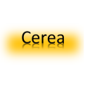 Cerea